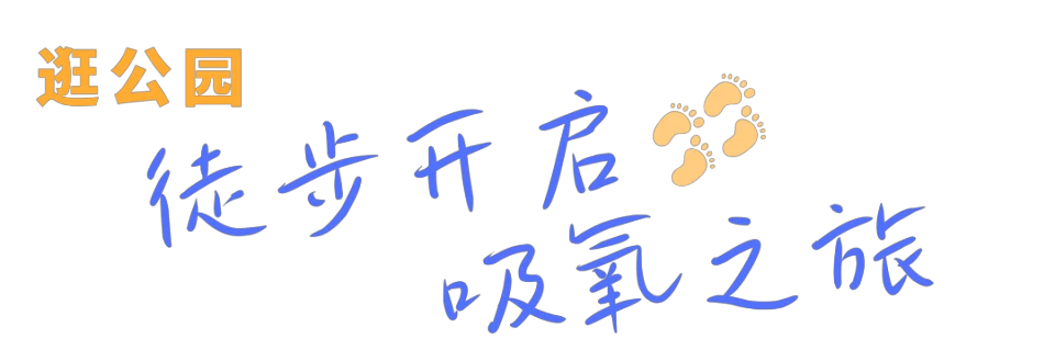 如何制定智能篮球训练计划_1