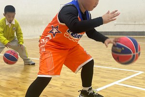 篮球训练全套视频大全教学