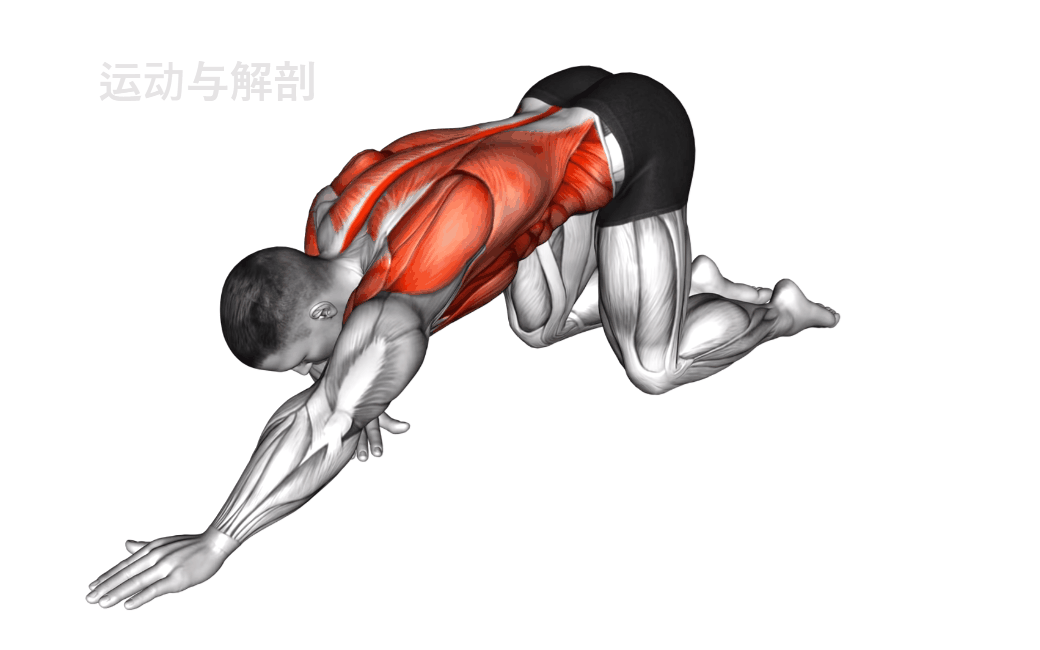 为什么动态拉伸更适合篮球训练前的热身？