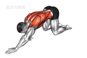  为什么动态拉伸更适合篮球训练前的热身？